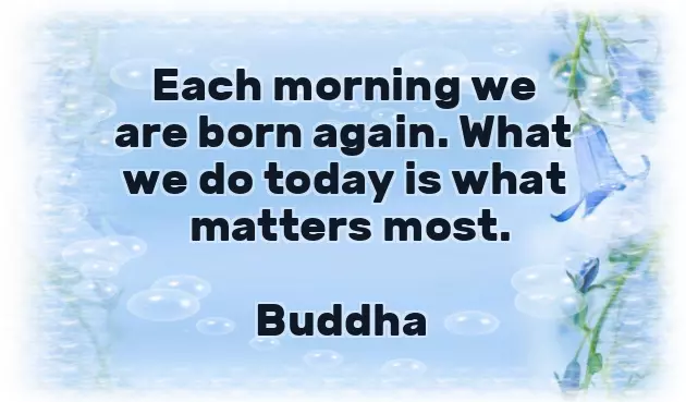 Morning Good Morning