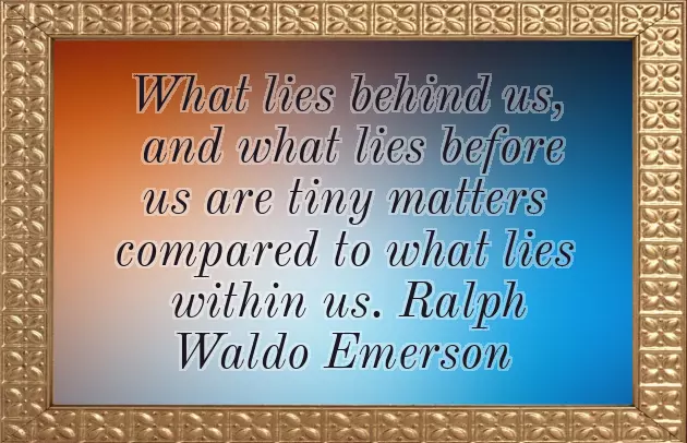 Wedding Diaries Quotes Wedding Diaries Quotes