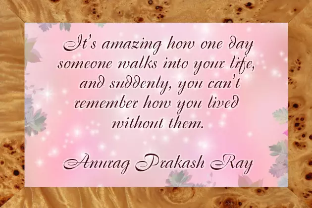 Funny Pre Wedding Quotes Funny Pre Wedding Quotes