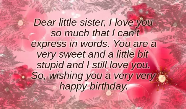Wish You Happy Birthday Little Sister