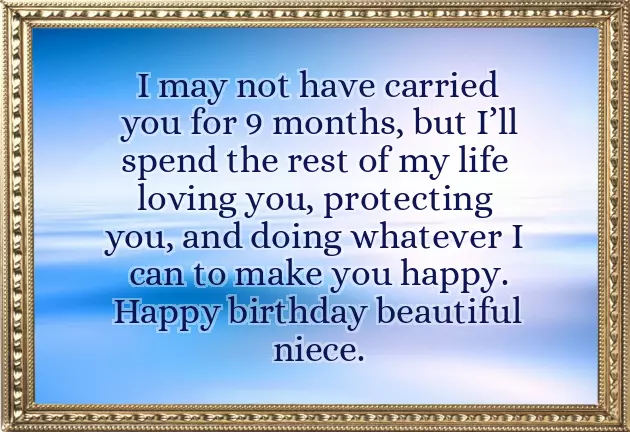 Birthday Wishes To My Niece Quotes