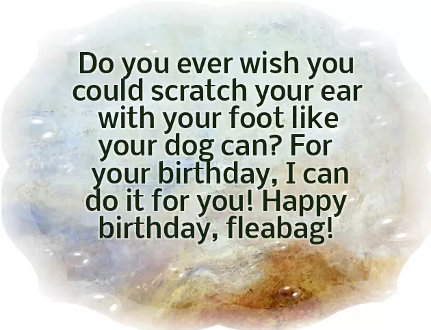 Birthday Wishes From The Dog Birthday Wishes From The Dog