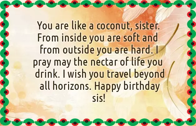 Happy Birthday Paragraph For Sister