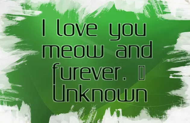 Birthday Wishes For Cat