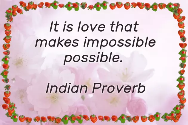 Whatsapp Wedding Invitation Quotes