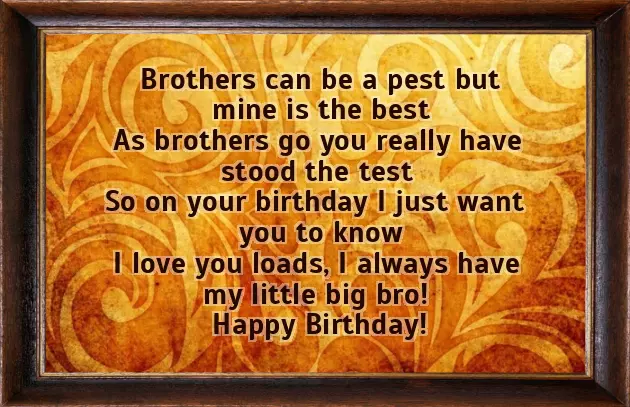 Funny Happy Birthday Brother Poems From Sister