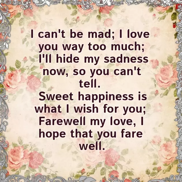 Sorry Poem For Boyfriend