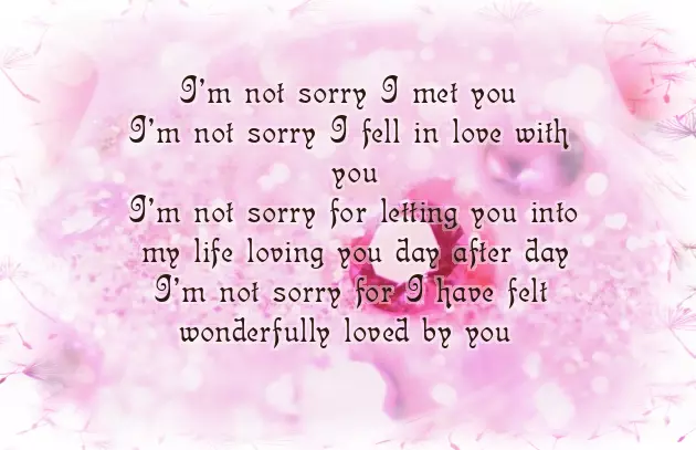 Sorry Poem For Boyfriend