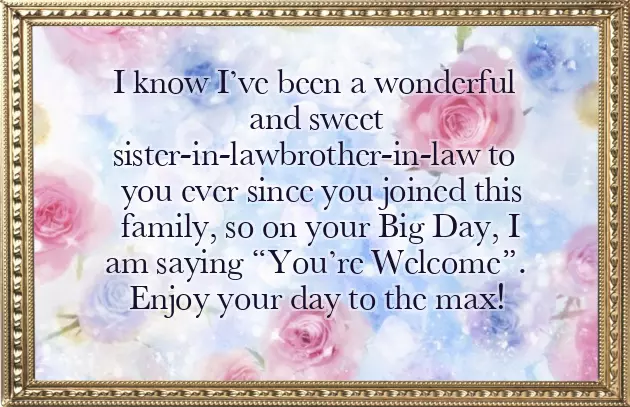 Little Sister Birthday Funny Little Sister Birthday Funny