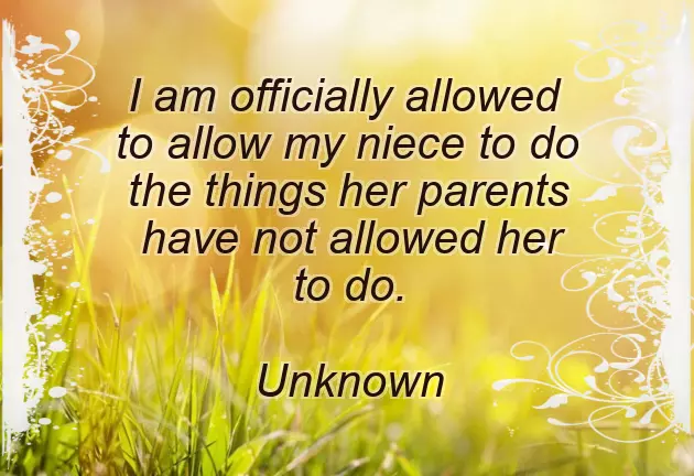 Birthday Wishes For My 2 Year Old Niece Birthday Wishes For My 2 Year Old Niece