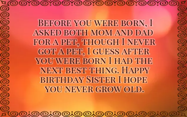 Little Sister Birthday Funny Quotes