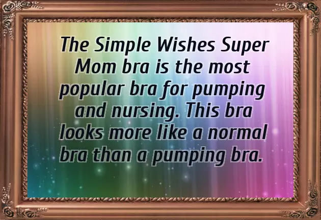 Simple Wishes Pump Bra