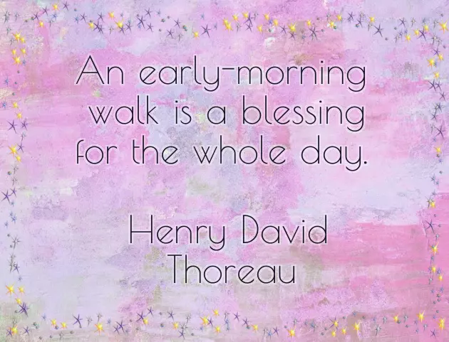 Greetings Have A Nice Day Greetings Have A Nice Day