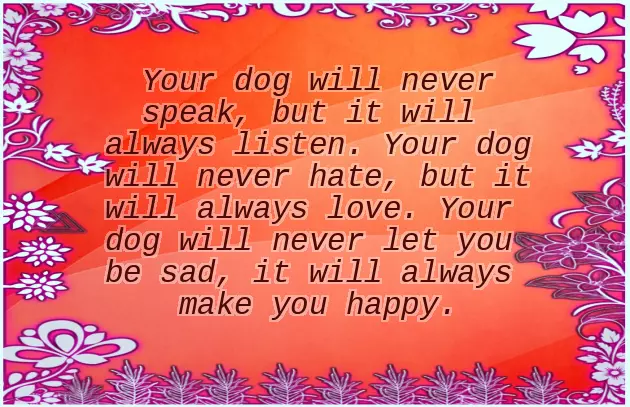 Congrats On Your New Puppy