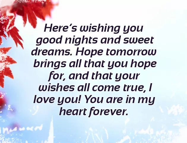 Good Night Poem For Boyfriend