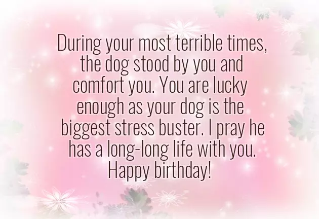 Happy Birthday Animals