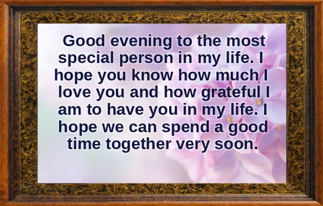 Have A Nice Evening My Love Have A Nice Evening My Love