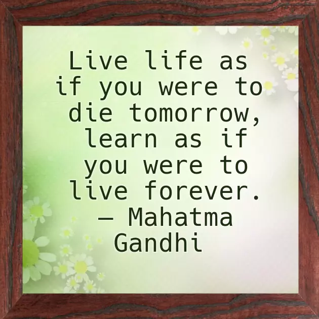 Happy Bday Captions Happy Bday Captions