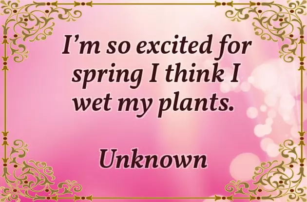 Happy Easter Wishes With Jesus