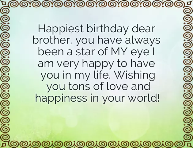 Happy Birthday Brother Quotes In English