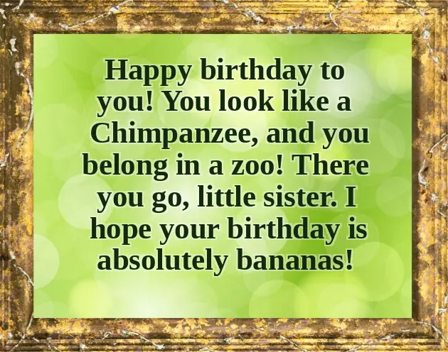 Happy Birthday Crazy Sister Happy Birthday Crazy Sister