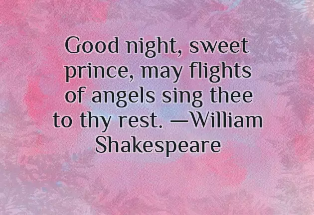 Good Night To The Love Of My Life