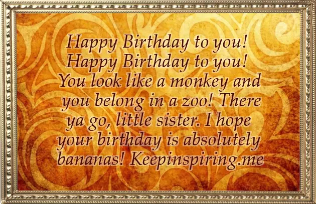 Little Brother Birthday Wishes Funny Little Brother Birthday Wishes Funny