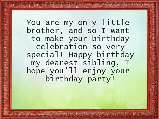 Funny Birthday Wish For Little Brother