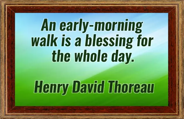 Amazing Good Morning Message