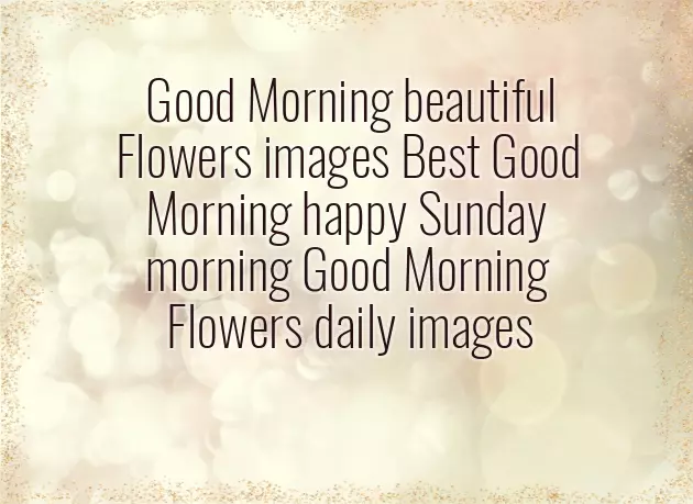 Good Morning Wishes With Roses