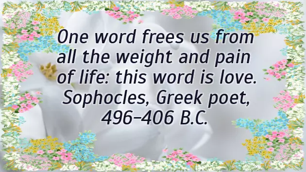 Happy Wedding Anniversary My Love