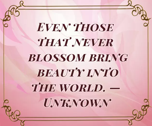 Baby Greetings Baby Greetings