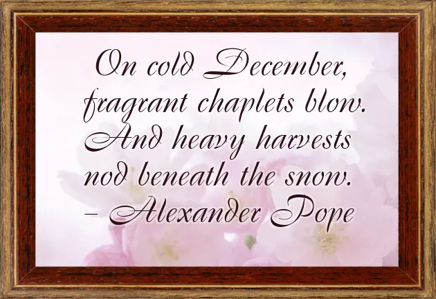 Quotes December Quotes December