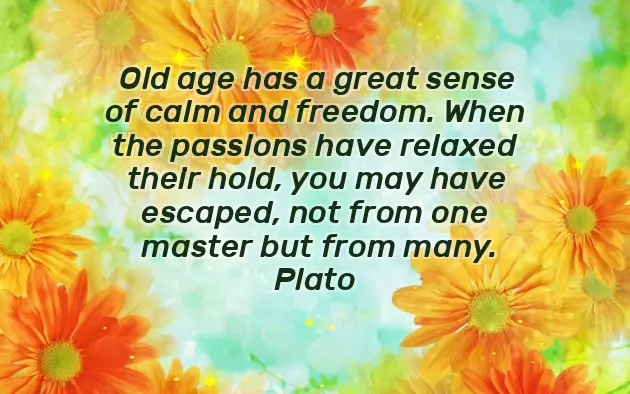 Funny Birthday Quotes For Kids