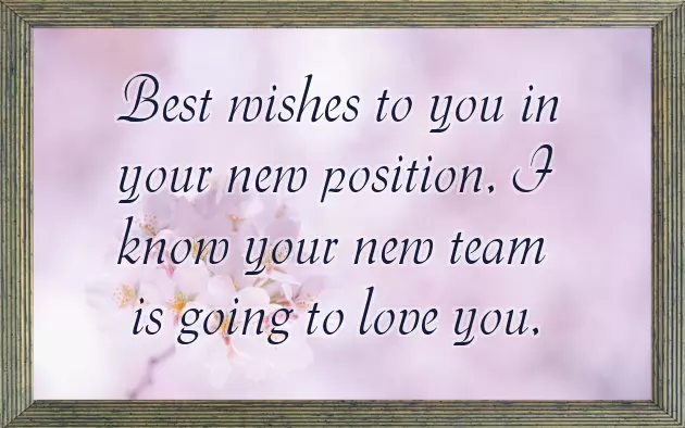 Congratulations For New Job Congratulations For New Job