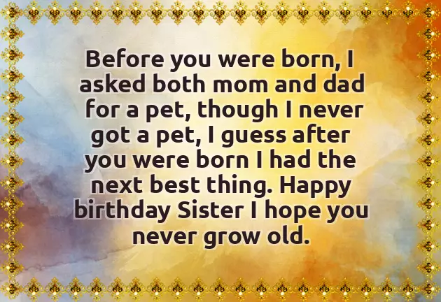 Happy Birthday Crazy Sister Happy Birthday Crazy Sister