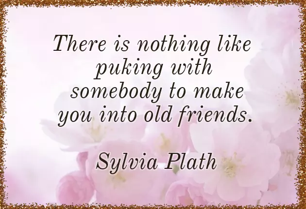 Funny Bridal Shower Quotes Funny Bridal Shower Quotes