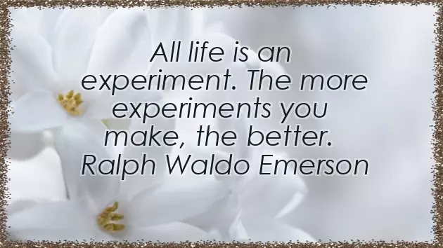 Best Of Luck For Future Quotes Best Of Luck For Future Quotes