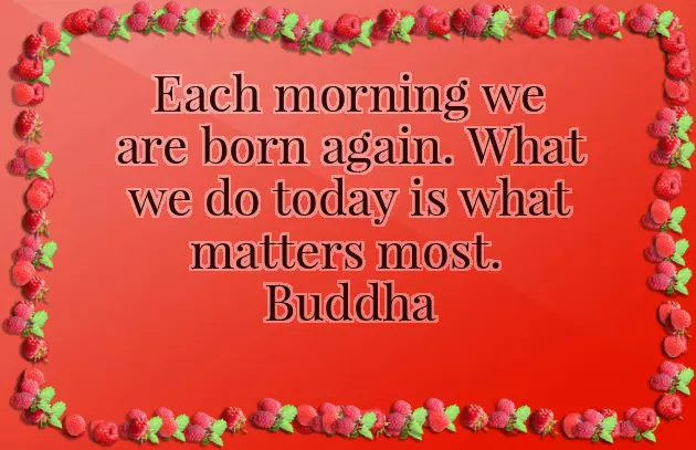 Today Morning Wishes