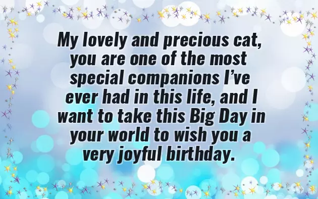 Birthday Wishes With Cat Birthday Wishes With Cat