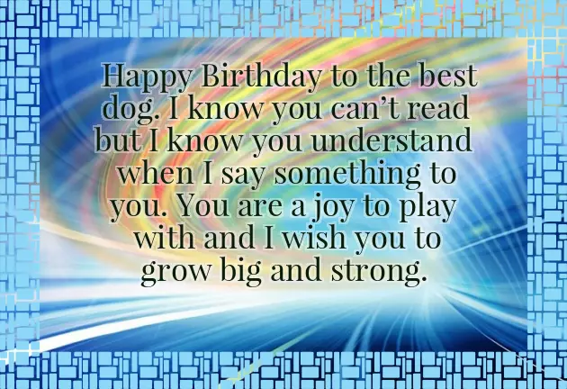 Happy Birthday My Friend Gif Happy Birthday My Friend Gif