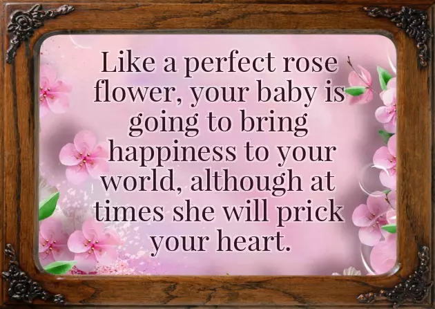 Welcome New Baby Girl To Your Family Quotes