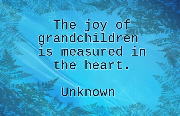 Birthday Wishes To Granddaughter From Grandfather Birthday Wishes To Granddaughter From Grandfather