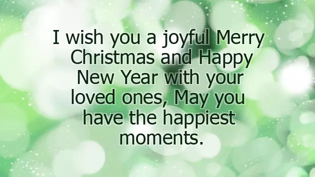 Merry Christmas Coworkers Funny