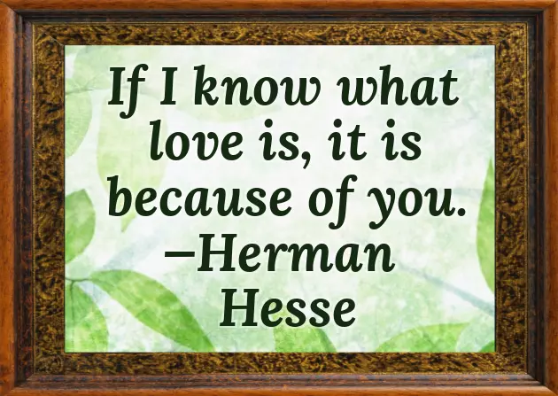 Birthday Wishes To Hubby Quotes Birthday Wishes To Hubby Quotes