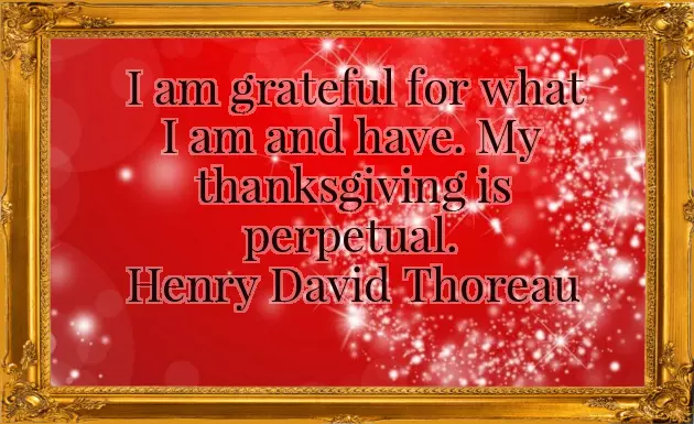 Thanks Message For Birthday Wishes