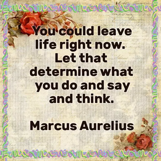 No One Quotes No One Quotes