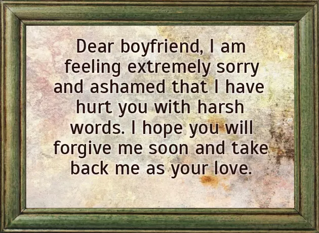 Sorry Birthday Wishes For Boyfriend