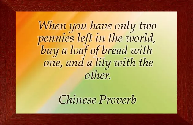 Quotation Of The Day Quotation Of The Day