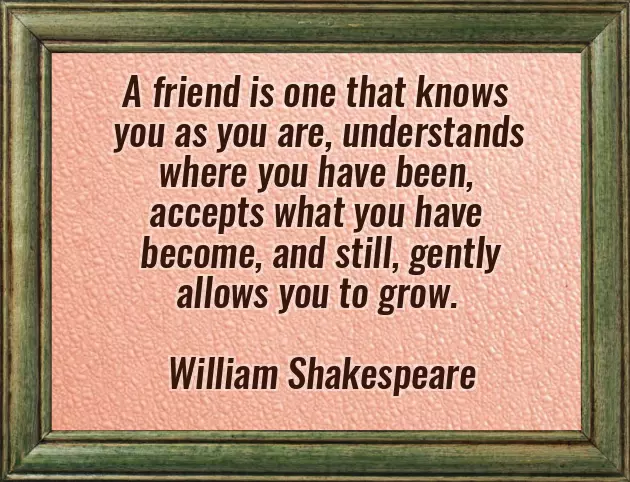 Best Friend Day Wishes Best Friend Day Wishes